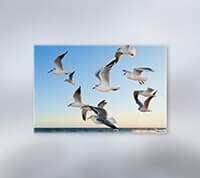 Wholesale Canvas Printing