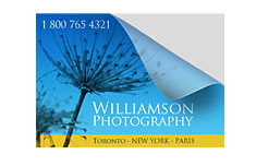 Printing Labels | Square Cut Labels